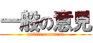 一般の意見 (public comment)