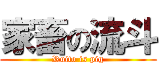 家畜の流斗 (Ruito is pig)