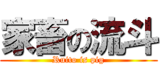 家畜の流斗 (Ruito is pig)