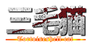 三毛猫 (Tortoiseshell cat)