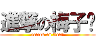 進撃の梅子姊 (attack on titan)