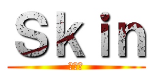 Ｓｋｉｎ (スキン)