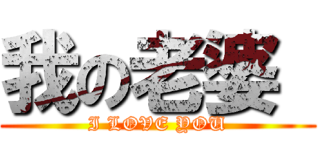 我の老婆  (I LOVE YOU)