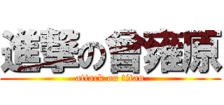 進撃の曾雍原 (attack on titan)