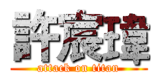 許宸瑋 (attack on titan)