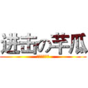 进击の芊瓜 (是瓜不是花✿)