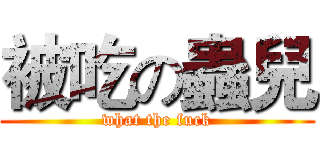 被吃の蟲兒 (what the fuck)