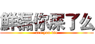 鮮磊你屎了么 (are you die)