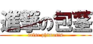 進撃の包茎 (false phimosis)