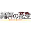 純粹の花生 (Pure on Peanut)