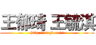 王郁琦 王毓淇 (http://sngk.net/)