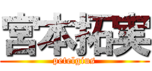 宮本拓実 (petelgius)