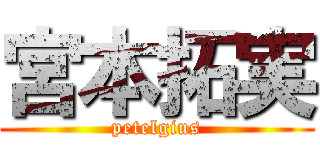 宮本拓実 (petelgius)