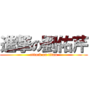 進撃の劉佑芹 (attack on titan)