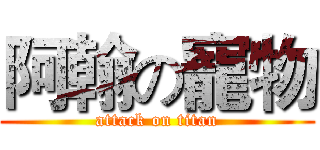 阿翰の寵物 (attack on titan)
