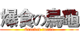 爆食の烏龜 (Cracked turtle)