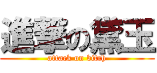 進撃の黛玉 (attack on bitch)