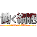 働く細胞 (attack on titan)