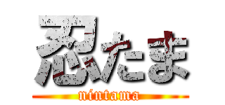 忍たま (nintama)