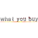 ｗｈａｔ ｙｏｕ ｂｕｙ ()