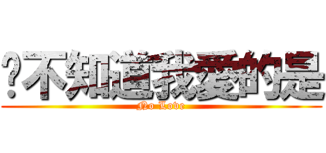你不知道我愛的是 (No Love)