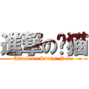 進撃の懒猫 (Attack on Suripi Neko)