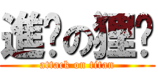 進擊の狸貓 (attack on titan)