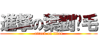 進撃の葉劉腳毛 (attack on titan)