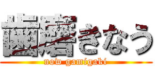 歯磨きなう (now gamigaki)