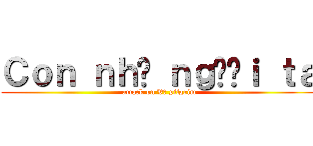 Ｃｏｎ ｎｈà ｎｇườｉ ｔａ (attack on Vũ pilgrim)