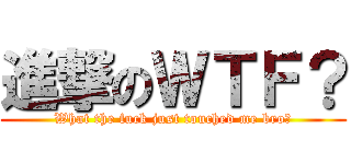 進撃のＷＴＦ？ (What the fuck just touched me bro?)