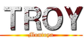 ＴＲＯＹ (Montoya)