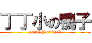 丁丁小の鴨子 (small jj on duck)