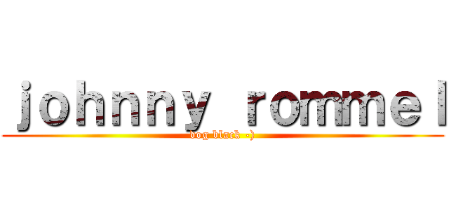 ｊｏｈｎｎｙ ｒｏｍｍｅｌ (dog black -))