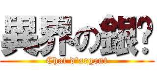 異界の銀貓 (Chat d\'argent)