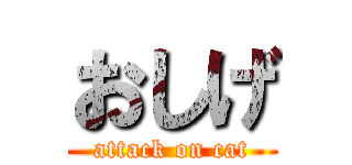 おしげ (attack on cat)