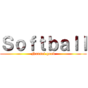 Ｓｏｆｔｂａｌｌ (Nansei.good)