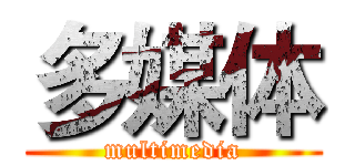 多媒体 (multimedia)