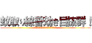 蚊取り線香効き目抜群！ (WWWWWWWWW)