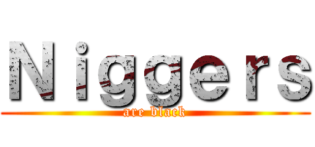 Ｎｉｇｇｅｒｓ (are black)