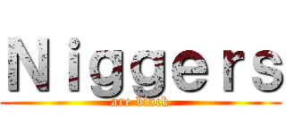 Ｎｉｇｇｅｒｓ (are black)