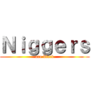 Ｎｉｇｇｅｒｓ (are black)