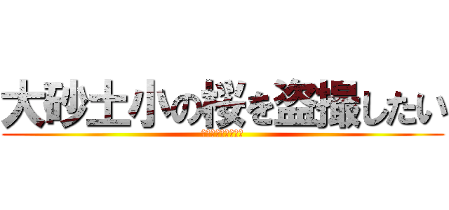 大砂土小の桜を盗撮したい (未だ体は起きません)