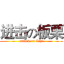 进击の板栗 (attack on Lizi)