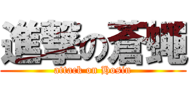 進撃の蒼蠅 (attack on Hosin)