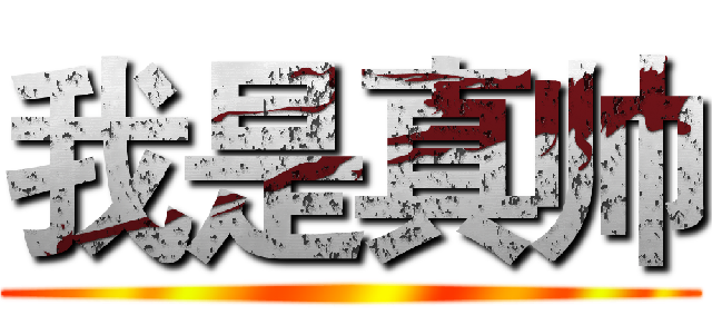 我是真帅 ()