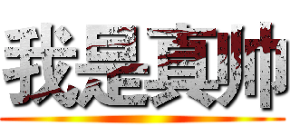 我是真帅 ()