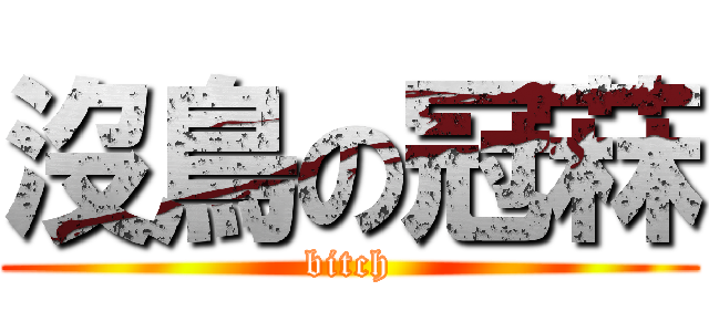 沒鳥の冠菻 (bitch)