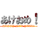 あけおめ！ (HAPPY NEW YEAR！)