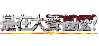 是在大聲甚麼啦 (WTF)